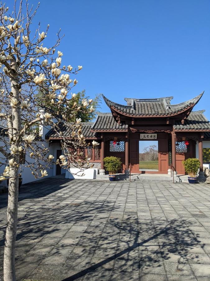 High Point Guesthouse - Next To Seattle Chinese Garden Exterior foto